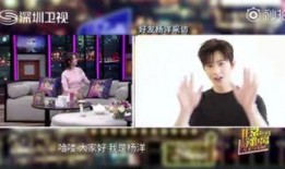 深圳吃货爆料视频最新,最新吃货爆料视频带你领略深圳风味盛宴