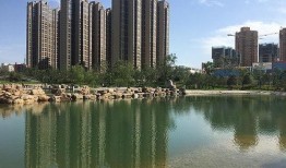 铜川绿城最新爆料信息网,揭秘项目进展与亮点