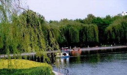 石家庄公园爆料最新消息,揭秘神秘事件背后的真相