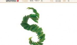 树叶最新爆料文案图片,最新爆料图片背后的惊人真相