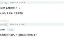 郑恺收入爆料最新消息,揭秘明星真实收入背后的惊人数字